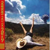 Geese - 3d Country (LP)