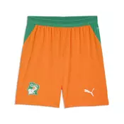 PUMA CA´te dIvoire 2026 Shorts Men, Performance, Rickie Orange/Sport Green, L