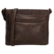 Beagles Murcia 20342 Dark brown