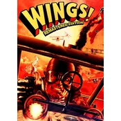 Wings! Remastered Edition Steam Key GLOBAL