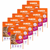 Iams Senior Cat chicken 12x85 g
