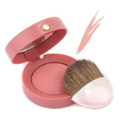 Bourjois Fard Pastel Joues rdečilo odtenek 095 Rose de Jaspe 2 5 g