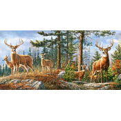 Castorland - Puzzle Kraljevska obitelj jelena - 4 000 dijelova