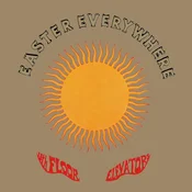 13Th Floor Elevators - Easter Everywhere (Reissue) (Half-Speed Mastered) (LP)