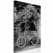 Slika - Bicycle and Flowers (1 Part) Vertical 40x60