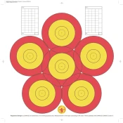 FITA INDOOR PRACTICE 6 SPOT