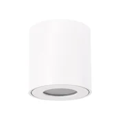 Ideus Stropna svetilka bela 35W ZORBA DWL GU10 03954