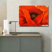 Wallity Dekorativna slika na platnu, 70x100cm, Šarena