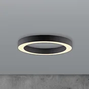 LED-stropna svetilka PURE Lines, premer 35 cm, grafitna, CCT, daljinski - Dnevna soba/jedilnica - Sodobni - Kovina