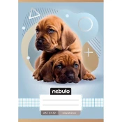 Nebulo: Dve pasje vzorčaste kariraste beležke A/5 27-32