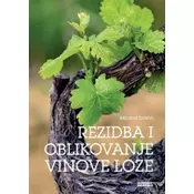Rezidba i oblikovanje vinove loze