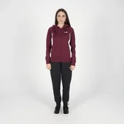 PUMA Trenerka full-zip hooded sweat suit FL W