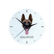 Malinois belgijski ovčar - geometrijska stenska ura s fotografijo in napisom