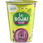 Desert od soje s borovnicom BIO Sojade 400g