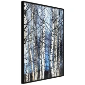 Poster - Winter Birch Trees 20x30