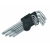 Beast Set 9 torx ključev dolgih T10-T50