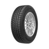 PETLAS 255/40 R19 SNOWMASTER W651 100V