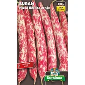 Nizki fižol za zrnje BURAN - 500g