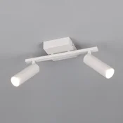 Trio Lighting Stropni reflektor Dara, dolžina 28 cm, siva barva, kovina, 2-krilni. - Dnevna soba/jedilnica - Sodobni