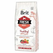 Brit Fresh Beef with Pumpkin Puppy Large 12 kg