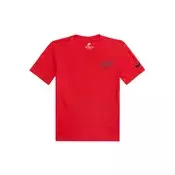 Nike Sportswear Majica WORLD CUP  med / svetlo siva / rdeča / črna