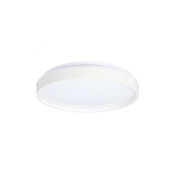 LED Stropna svetilka TEXAS LED/15W/230V bela
