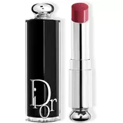DIOR Dior Addict sjajilo za usne punjiva nijansa 667 Diormania 3,2 g