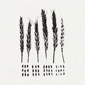 Lo! - The Gleaners (LP)