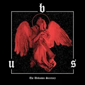 Bus - The Unknown Secretary (Limited Edition) (Blue Coloured) (LP)