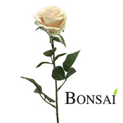 Vrtnica belo svetlo roza 63 cm - 50 do 75 cm