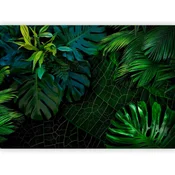 artgeist Fototapeta Tropical, Zelena