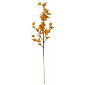 Shishi Višina brezove veje 117cm