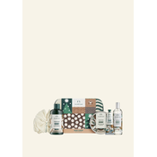 Creamy & Dreamy Coconut Big Gift XM23