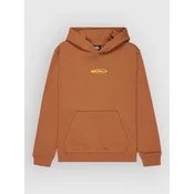 Quiksilver Globe Kids Hoodie tobacco brown