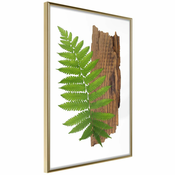 Poster - Expressive Ferm 20x30
