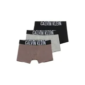 Calvin Klein Underwear Spodnjice čokolada/siva/črna