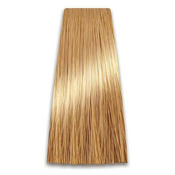 Farba za Kosu COLORART 8/33 PROSALON | Farbe i Kolor Šamponi | Boja i Nega Kose | Kozmo Shop Online