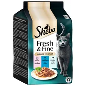 Multi pakiranje Sheba Fresh & Fine 6 x 50 g - Losos, tuna i pastrva u umaku