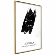 Poster - Zodiac: Aquarius I 20x30