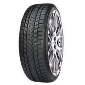 Gripmax Status Pro Winter ( 245/45 R18 100V )