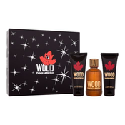 Dsquared2 Wood Set toaletna voda 100 ml + gel za prhanje 100 + balzam po britju 100 ml za moške
