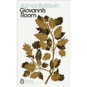Giovannis Room