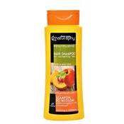 Šampon za lase s sadjem in aloe vero Naturaphy 500ml 30115
