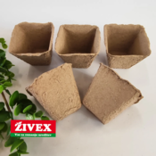 ŠOTNI LONČEK 6X6 CM