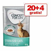 10 € uštede! Concept for Life 48 x 85 g - All Cats - u želeu