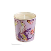 GOLDBUCH mirisna svijeca Turnowsky Insignia, aroma English Roses
