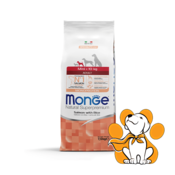 Monge Mini