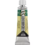Rembrandt Professional Watercolour Paint 10 ml Viridian