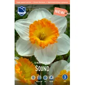 Čebulice narcise Sound, 5 kosov