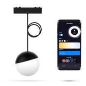 LED viseča svetilka WiFi Zigbee Sphere DY črna 6W za magnetne tirnice SLIM TRACK 48VDC 3000-5000K zatemnljiva